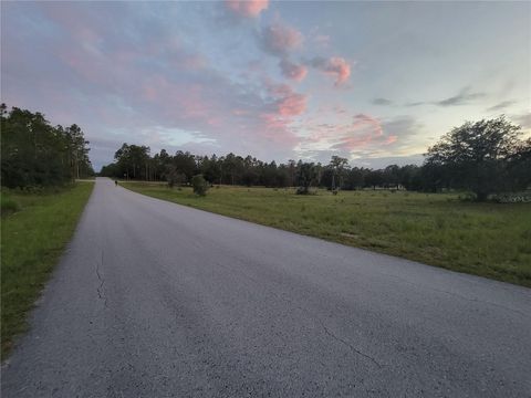 Tiny photo for 23061 SW Nautilus Boulevard, Dunnellon, FL 34431 (MLS # OM708151)