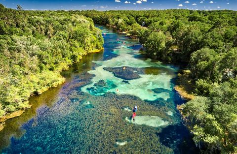 Tiny photo for 23061 SW Nautilus Boulevard, Dunnellon, FL 34431 (MLS # OM708151)