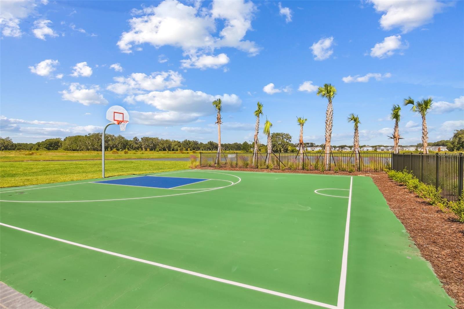 ASHBERRY VILLAGE PH 2A - Residential