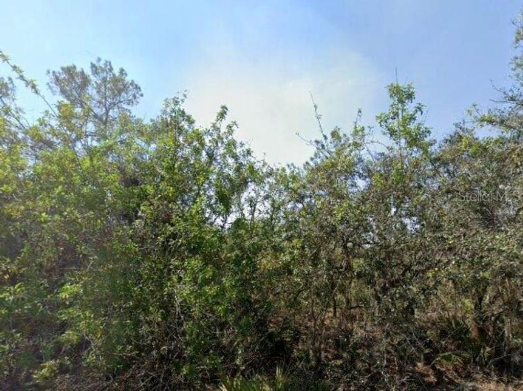 Photo of 146 Patton Ave, Lake Placid, FL 33852 (MLS # D6141635)