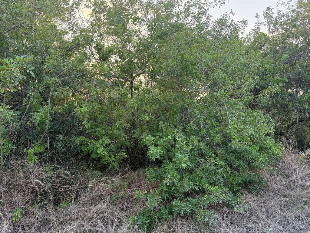 Photo of 146 Patton Ave, Lake Placid, FL 33852 (MLS # D6141635)