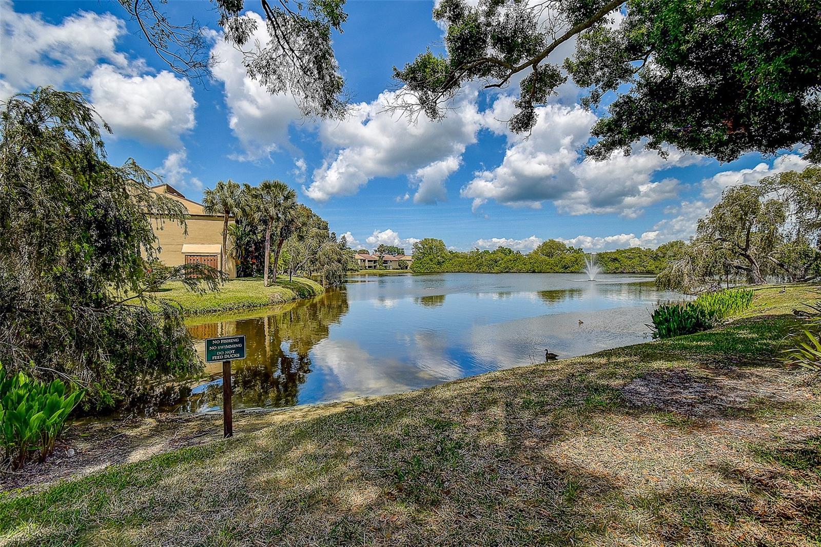 VILLAGE LAKE CONDO - Residential