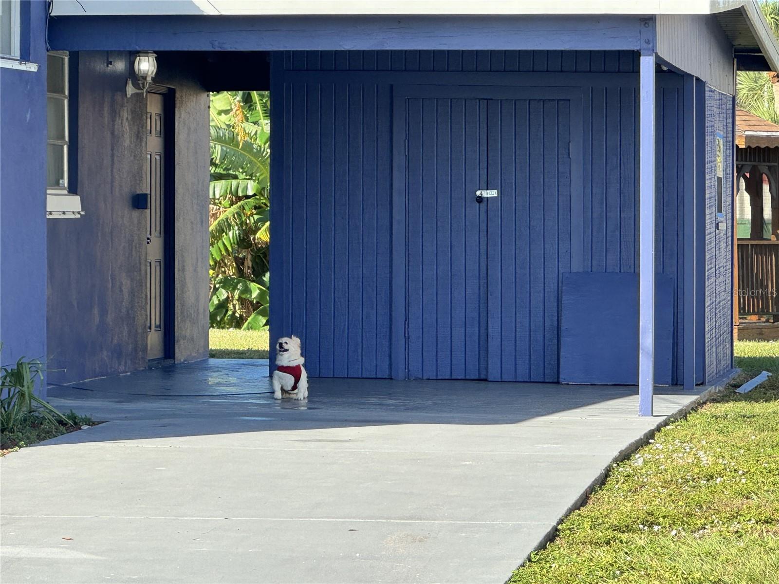 PORT CHARLOTTE SEC 011 - Residential