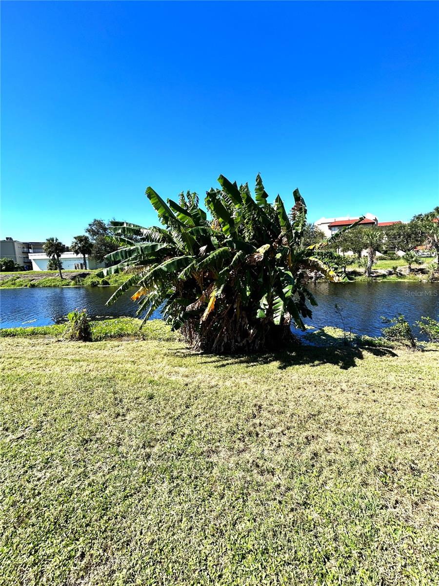 PORT CHARLOTTE SEC 011 - Residential