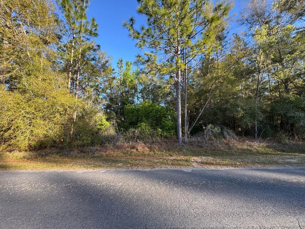 Photo of 7898 N Pocono Drive, Citrus Springs, FL 34434 (MLS # O6309353)