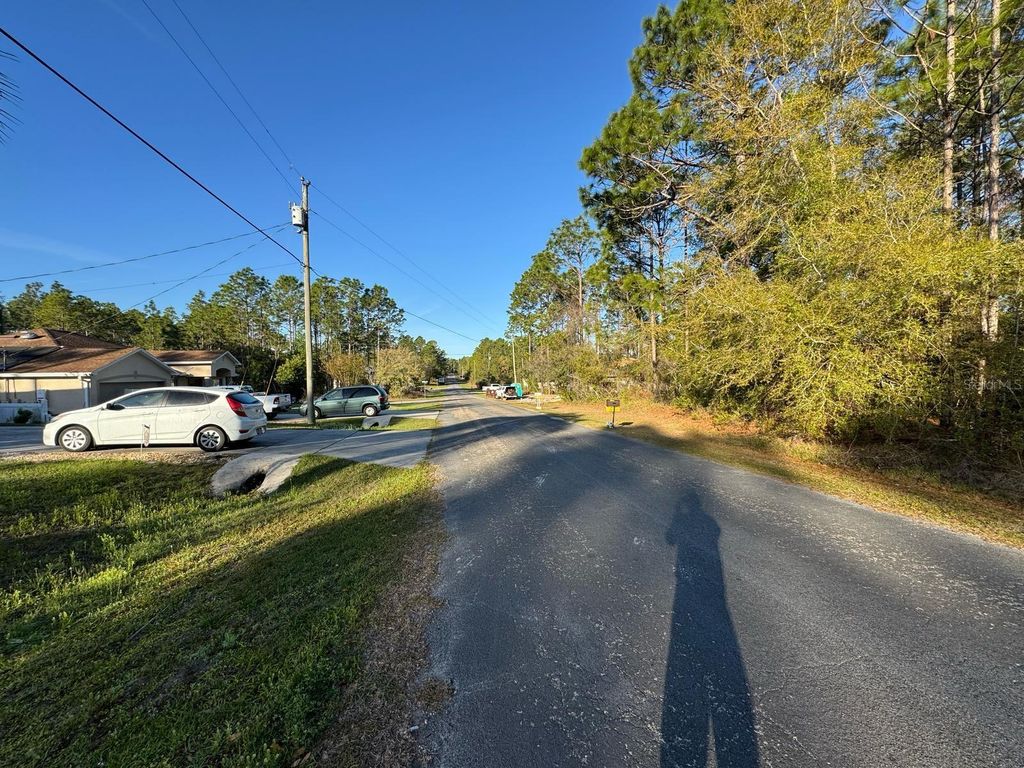 Photo of 7898 N Pocono Drive, Citrus Springs, FL 34434 (MLS # O6309353)