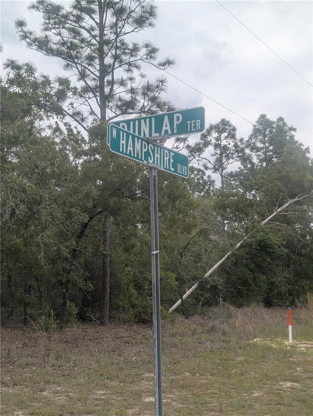 Photo of 6443 N Dunlap Terrace, Citrus Springs, FL 34433 (MLS # OM723534)