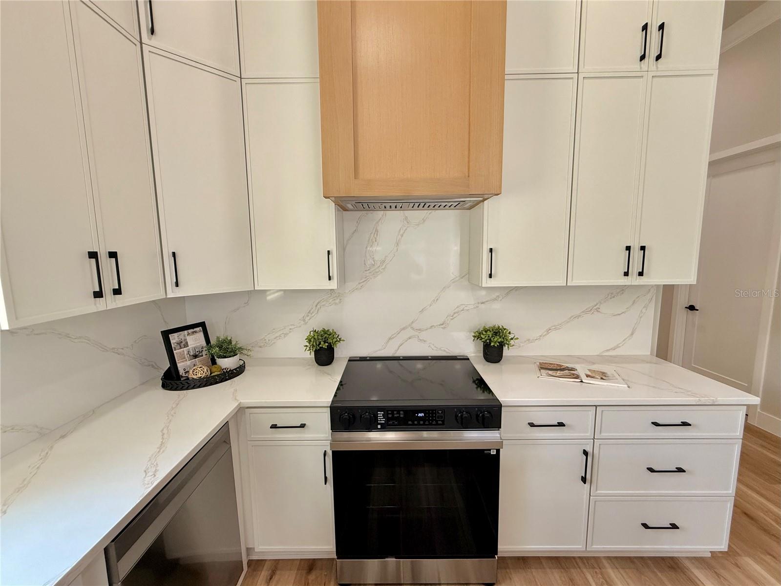 LAKEVIEW CONWAY - Residential