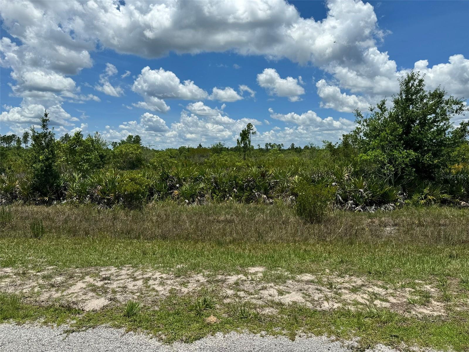 INDIAN LAKE ESTATES - Land