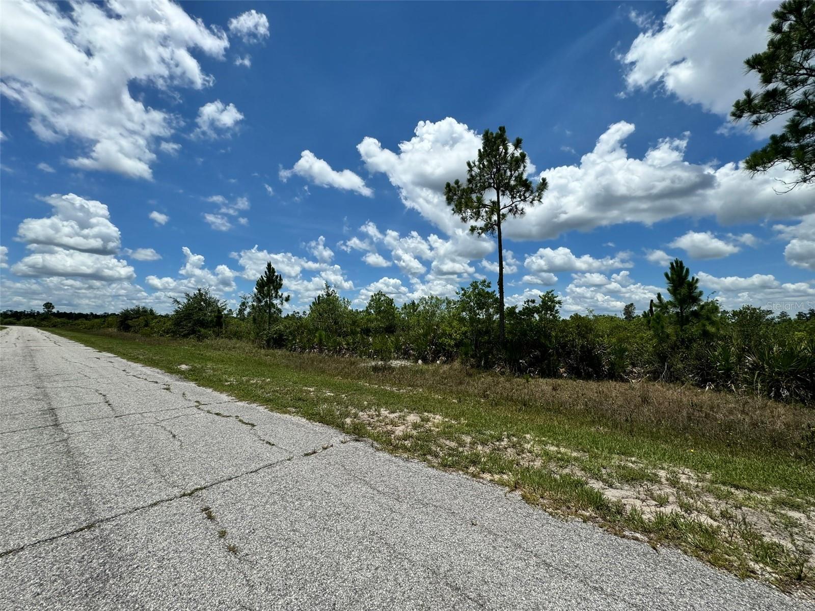 INDIAN LAKE ESTATES - Land