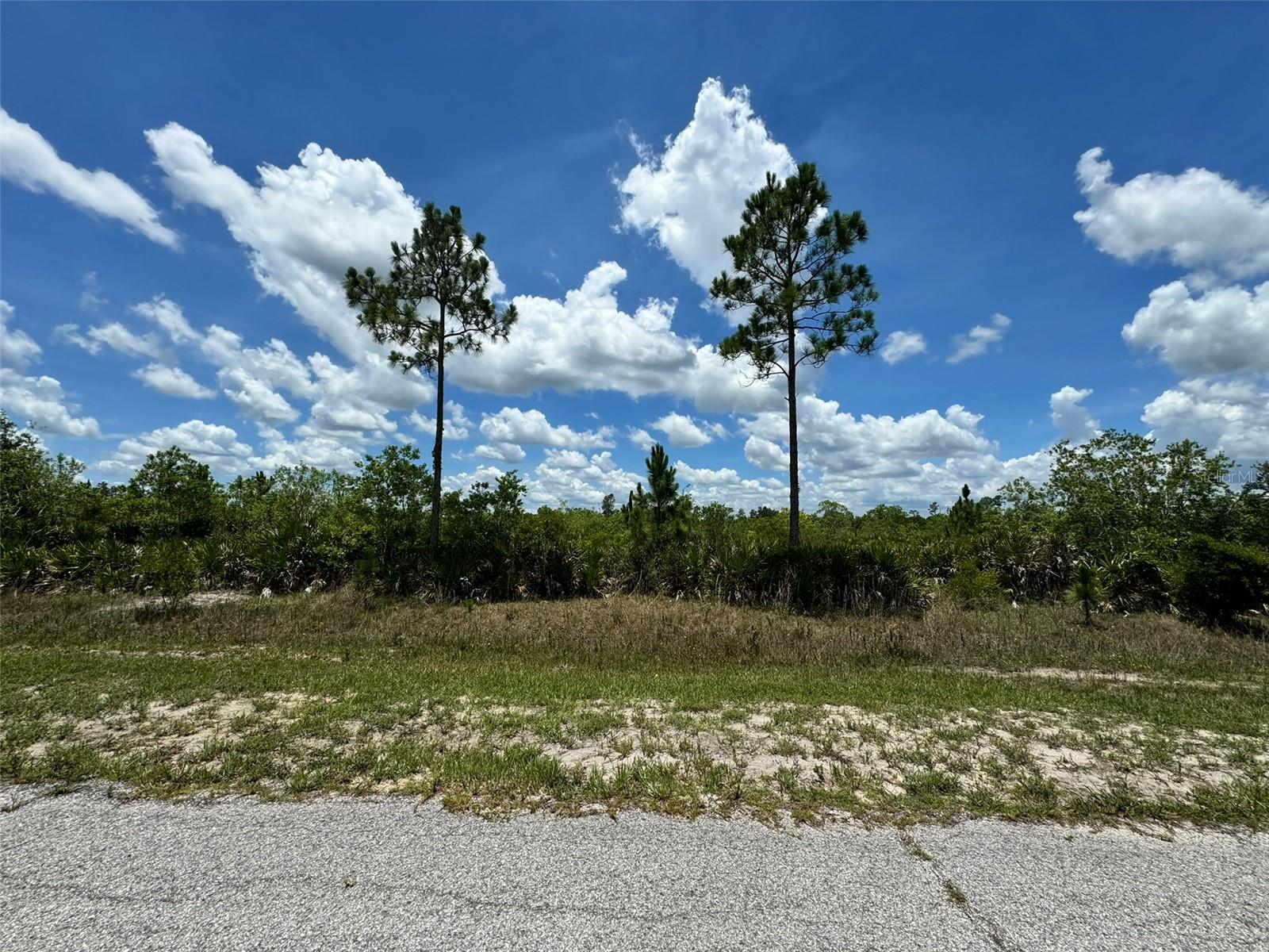 INDIAN LAKE ESTATES - Land