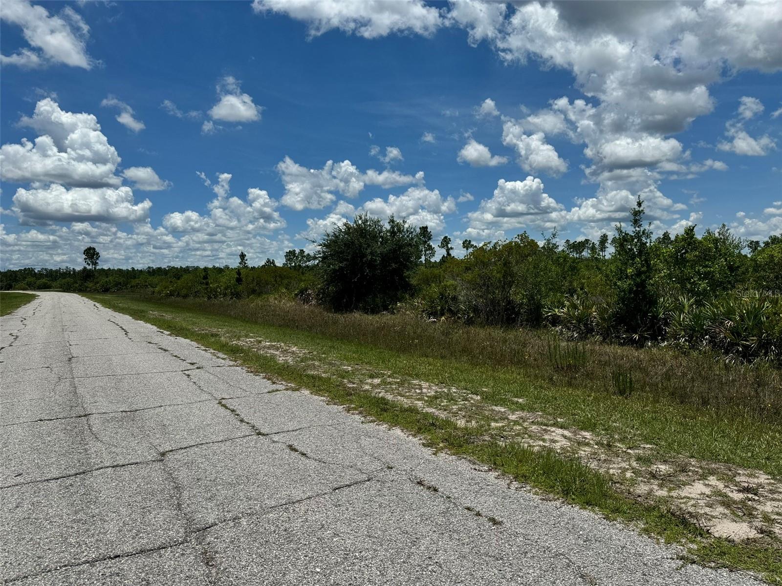 INDIAN LAKE ESTATES - Land