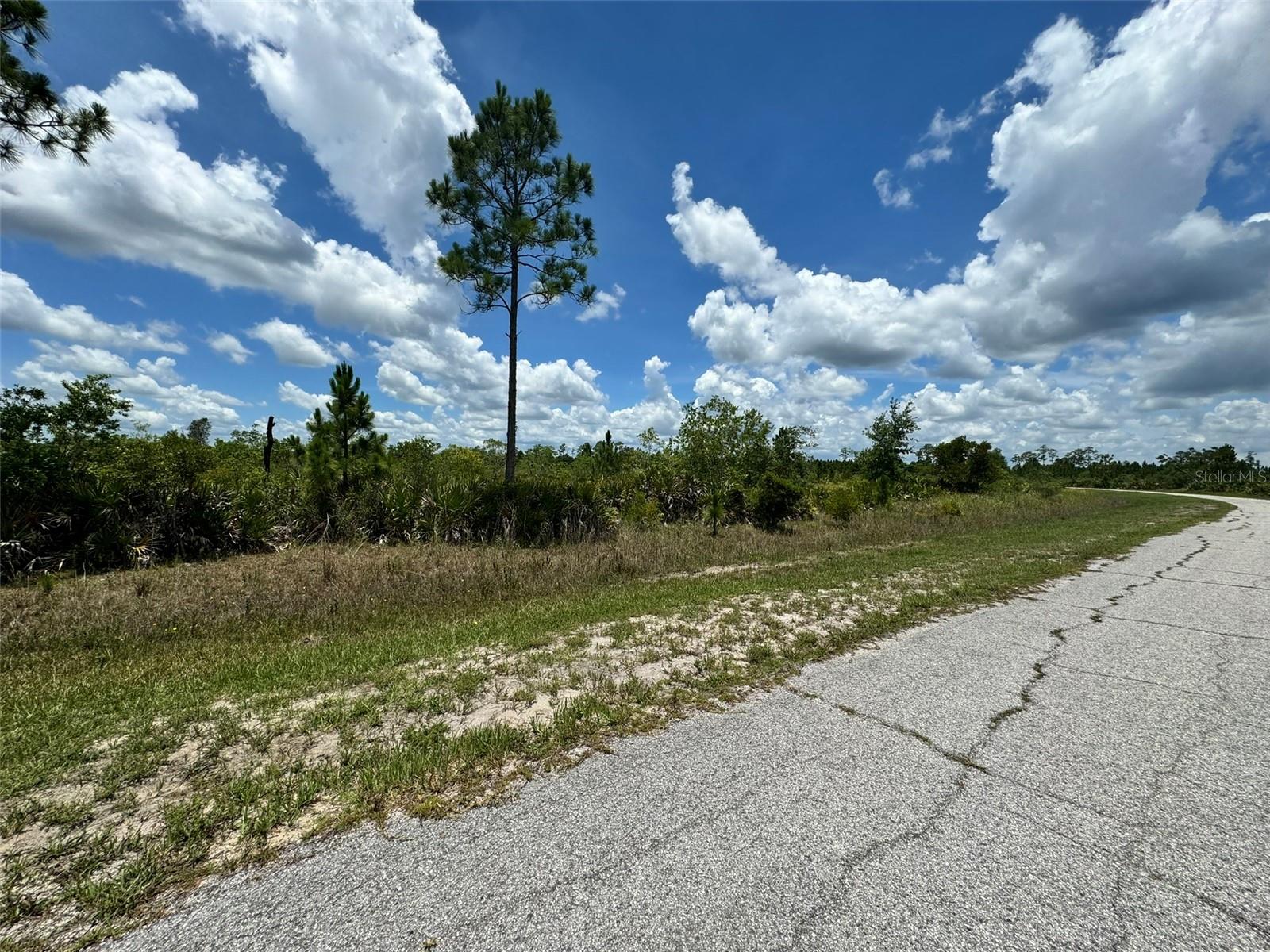 INDIAN LAKE ESTATES - Land