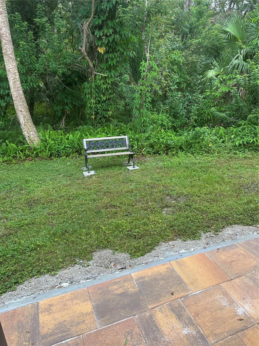 TARPON WOODS CONDO 3 - Residential