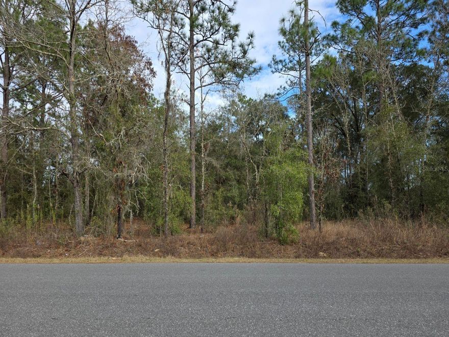 Double residential lot for sale in beautiful Ocala Florida.  Lot is splitable into 2 individual lots. High, dry and flat 150 ft x 135 ft. Septic needed.  Good opportunity to purchase 2 lots for 1 price.