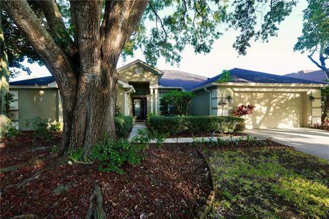 Photo of 3749 Pendlebury Drive, Palm Harbor, FL 34685 (MLS # A4667669)