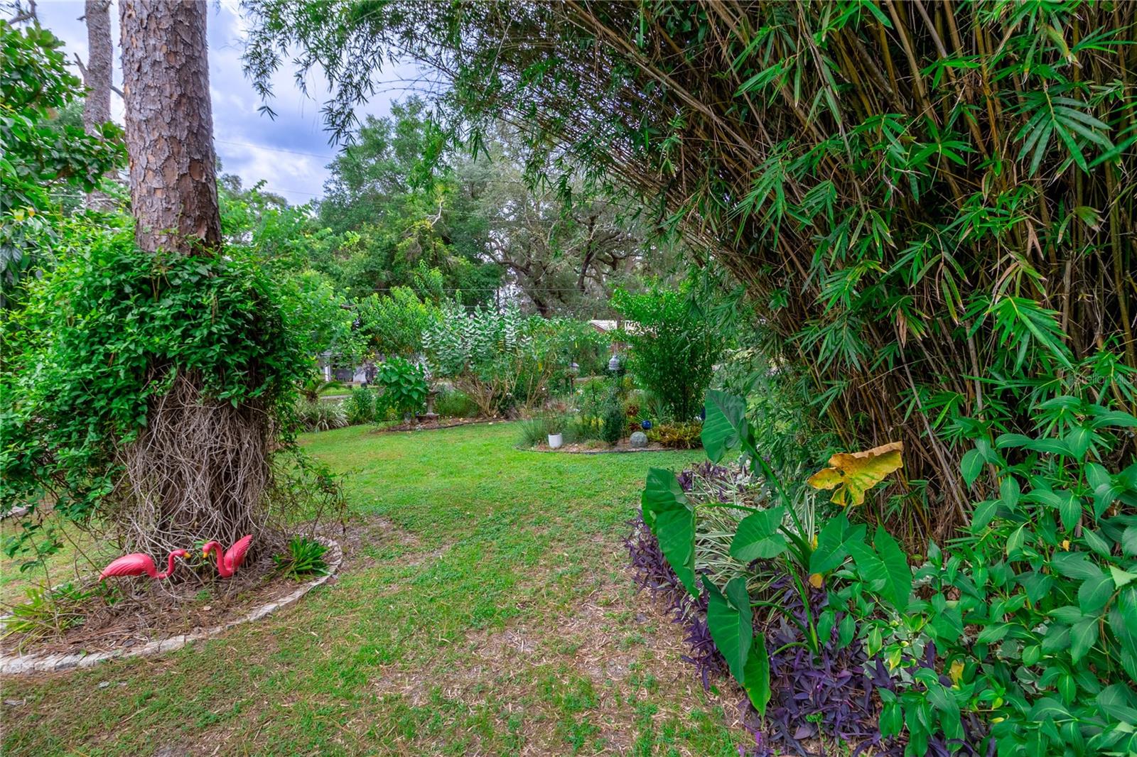 TOWN/KEYSTONE HEIGHTS - Residential