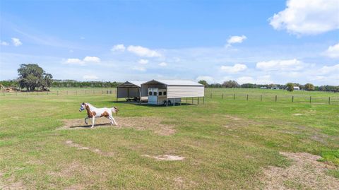 Tiny photo for 16750 Keene Road, Umatilla, FL 32784 (MLS # G5109361)