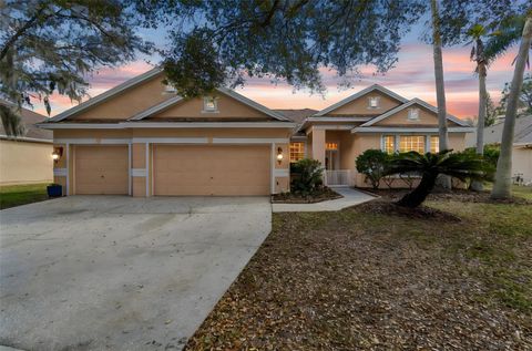 Photo of 5506 Camille Court, Lutz, FL 33558 (MLS # TB8486158)