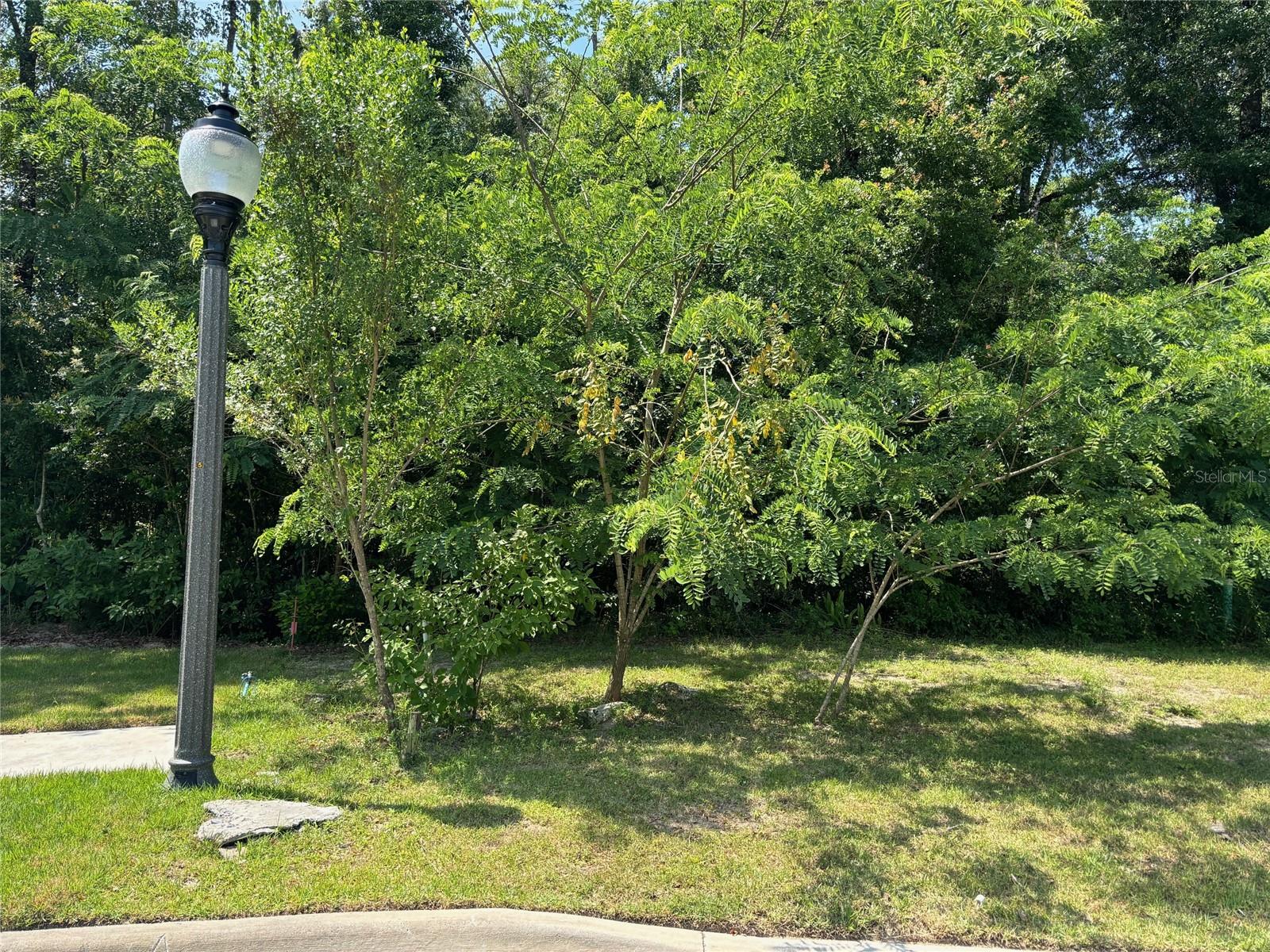 WILTSHIRE CLUSTER - Land