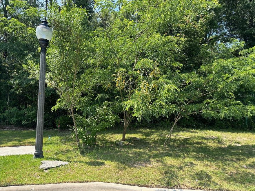 Now is the perfect time to start preparing for the future.  Hard to find lots in the middle of everything.  Great quiet lot in a small subdivision in Northwest Gainesville.  Close to schools, shopping, restaurants, parks and more.  Reserve the lot today and staring making plans to build your new custom Jeffrey M Wilde Builder home.