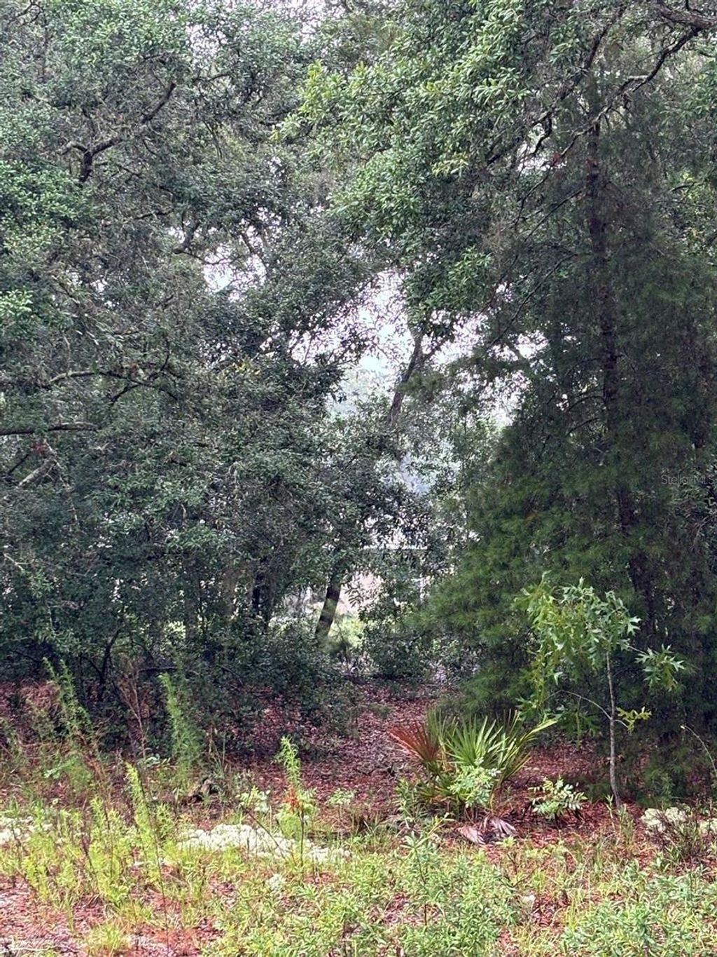 Photo of 7 Fisher Way Drive, Ocklawaha, FL 32179 (MLS # O6397620)