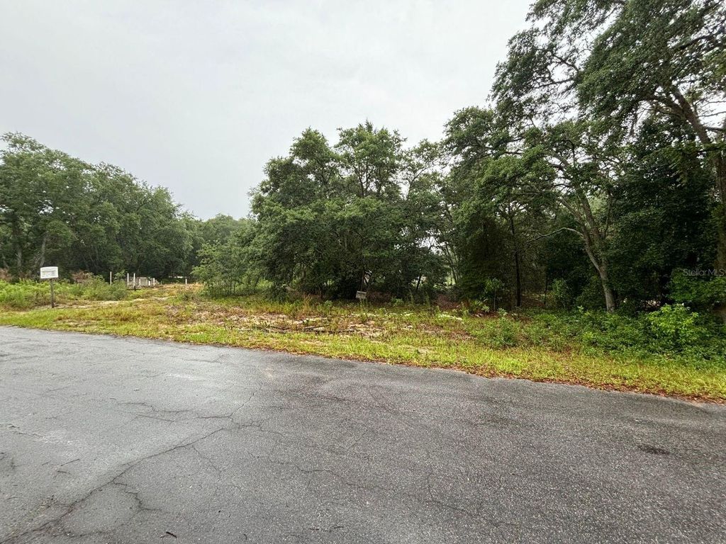 Photo of 7 Fisher Way Drive, Ocklawaha, FL 32179 (MLS # O6397620)