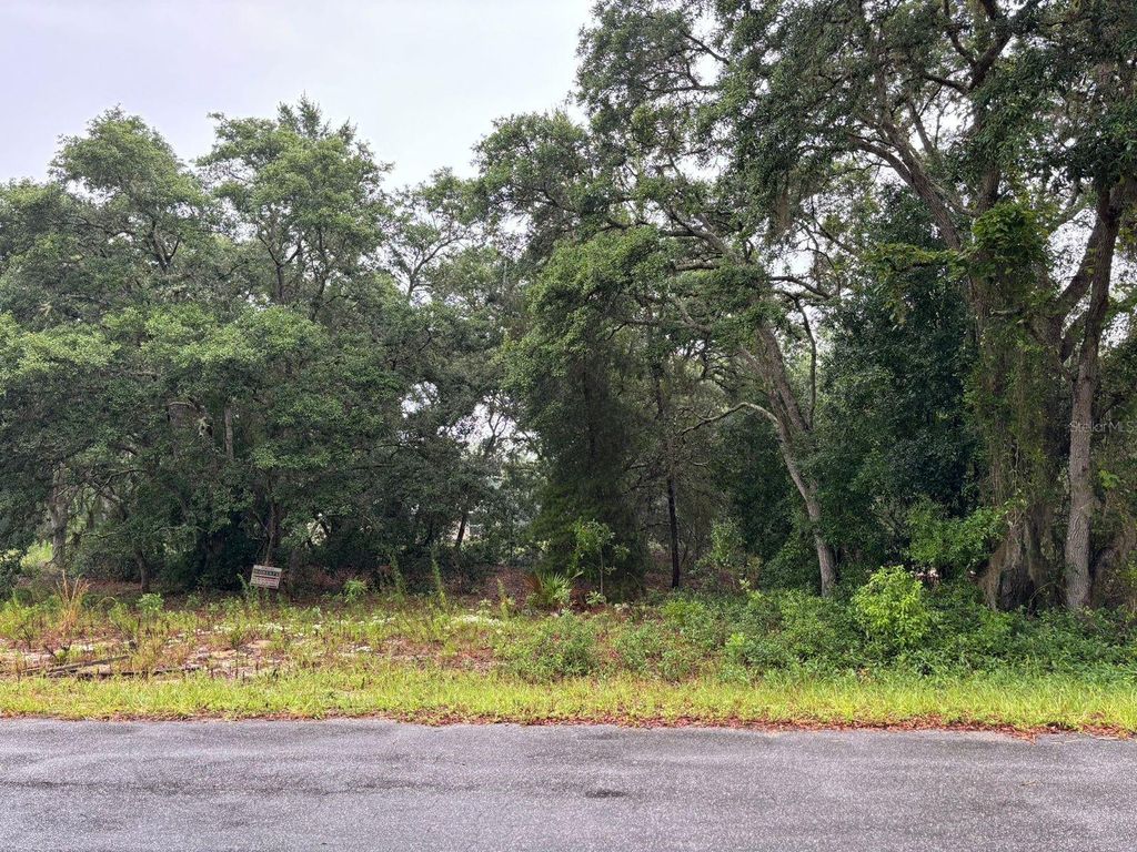 Photo of 7 Fisher Way Drive, Ocklawaha, FL 32179 (MLS # O6397620)