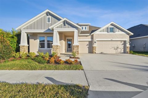 A home in APOLLO BEACH