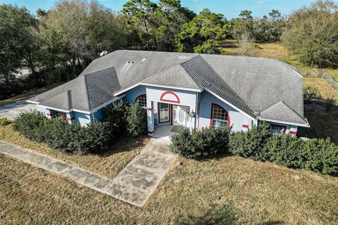 A home in KISSIMMEE