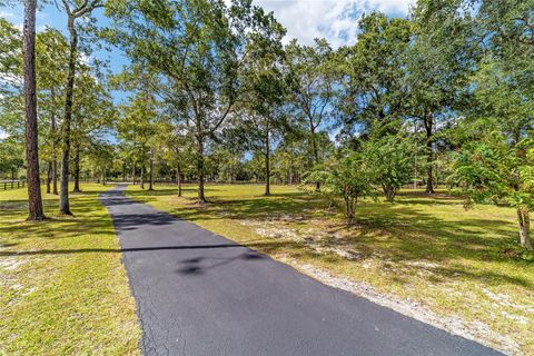 Tiny photo for 985 NW 73rd Terrace, Ocala, FL 34482 (MLS # OM697469)
