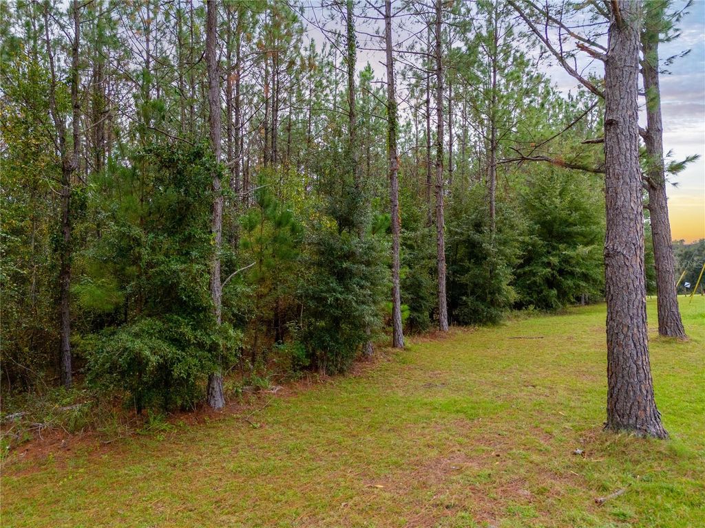 Photo of Tbd SW 99th Avenue, Lake Butler, FL 32054 (MLS # GC535090)
