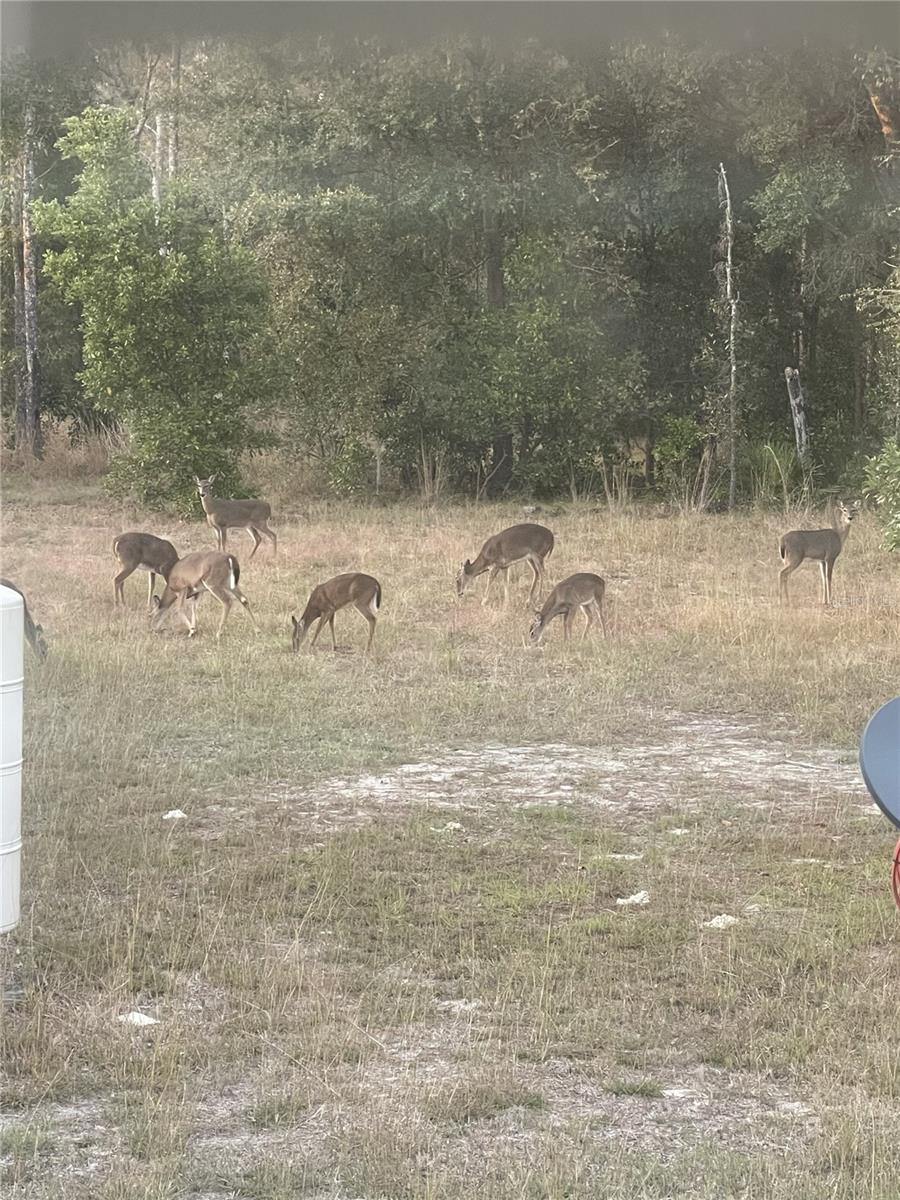 HIGH SPGS HIGHLANDS SUB - Residential