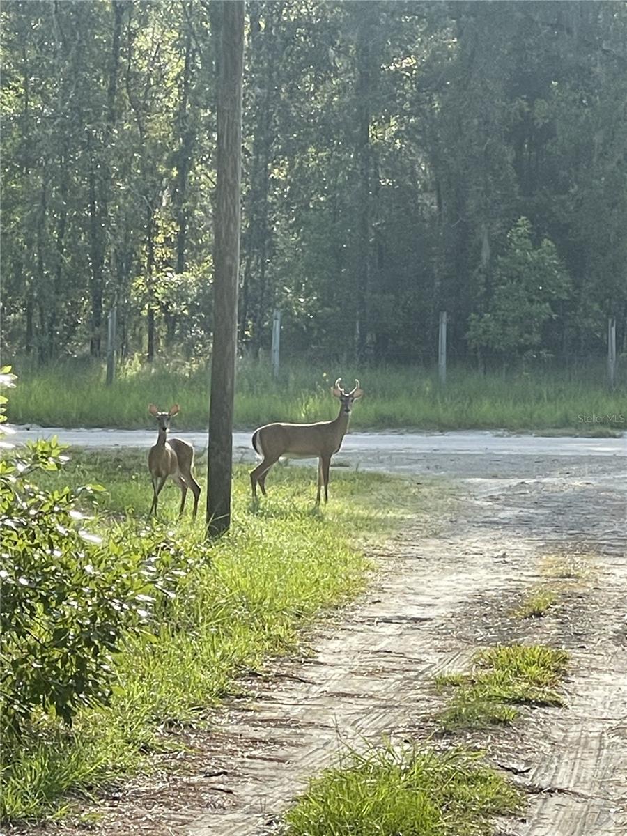 HIGH SPGS HIGHLANDS SUB - Residential