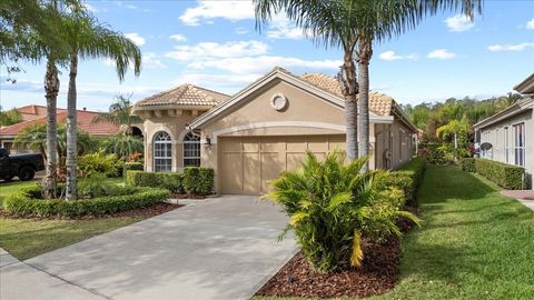 14521 MIRASOL MANOR COURT TAMPA FL 33626