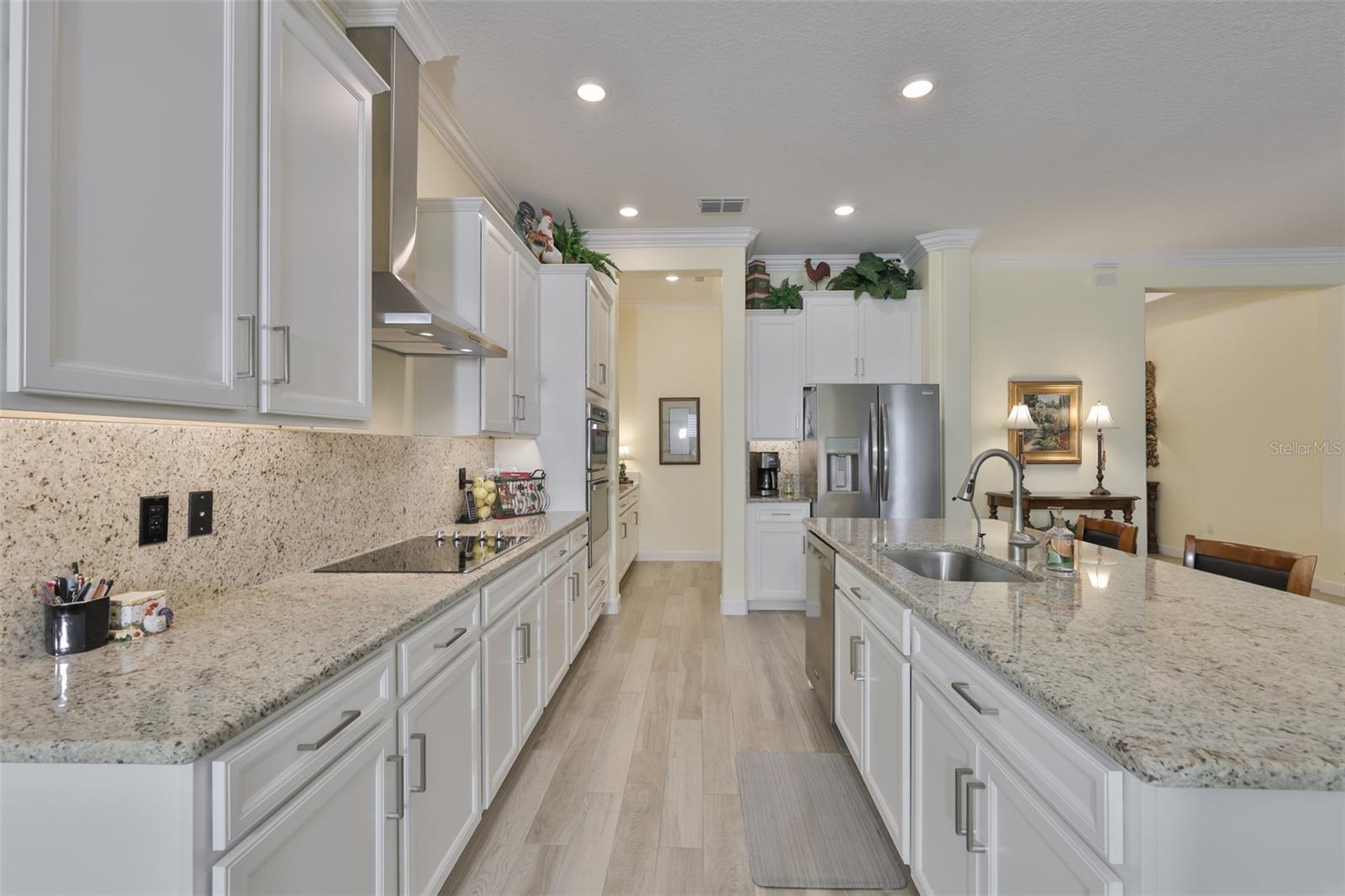 16955 SCUBA CREST STREET, WIMAUMA, FL, 33598 3 16955 SCUBA CREST STREET