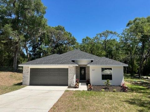 427 IVY AVENUE DELAND FL 32724