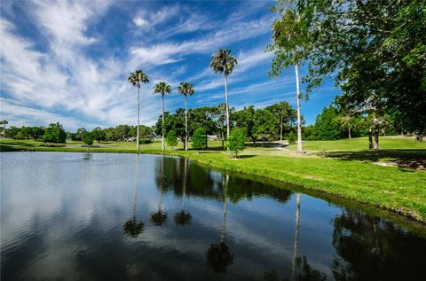 A home in PALM HARBOR