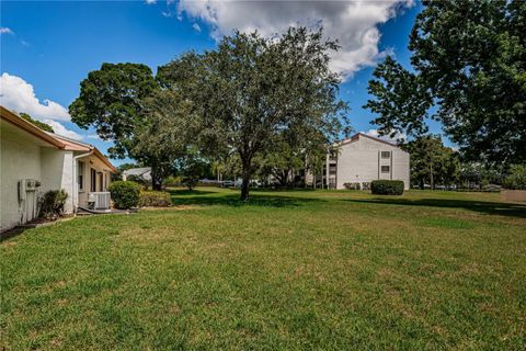 A home in PALM HARBOR