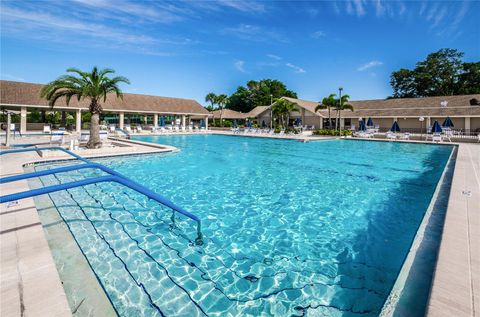 A home in PALM HARBOR