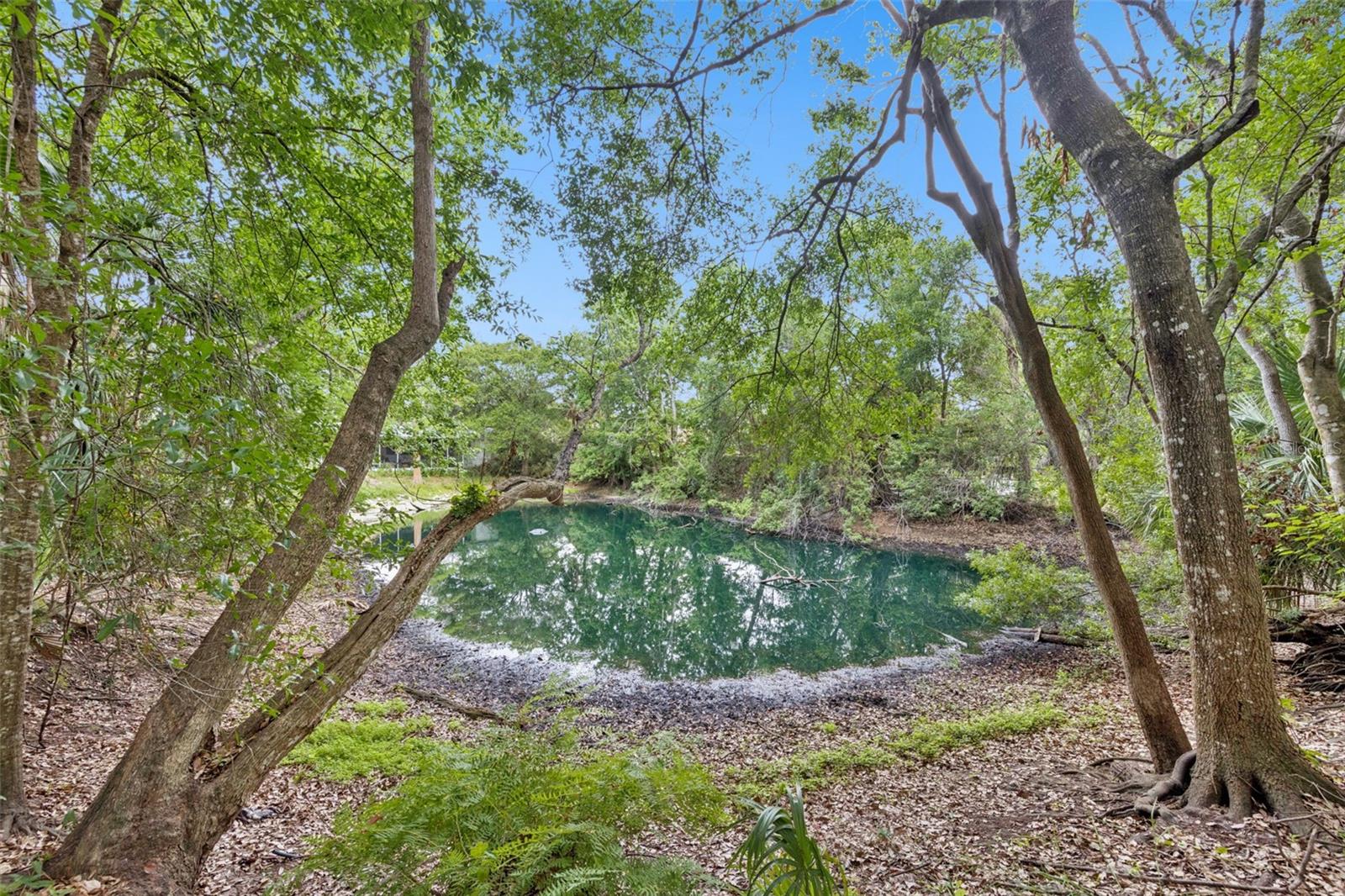1318 COLETTA DRIVE