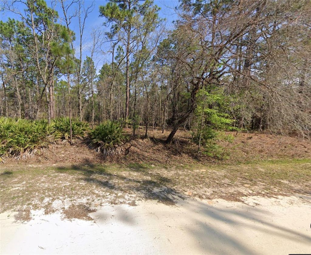 Photo of Tba SW 78 Pl, Dunnellon, FL 34432 (MLS # OM678352)