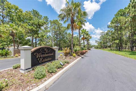 Photo of 8616 Spring Forest Lane, Wesley Chapel, FL 33544 (MLS # TB8529475)