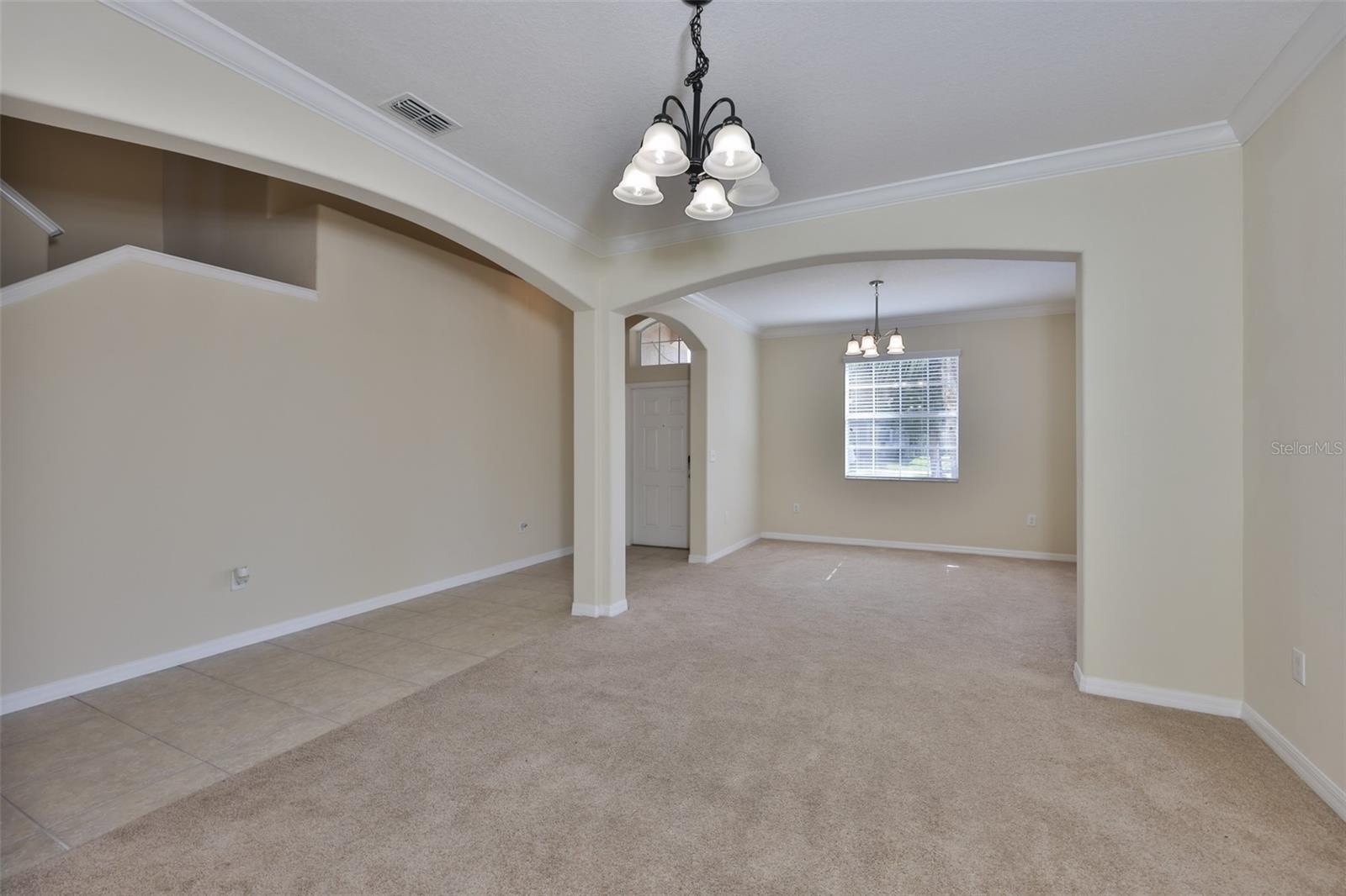 10514 SLEEPY ORANGE COURT