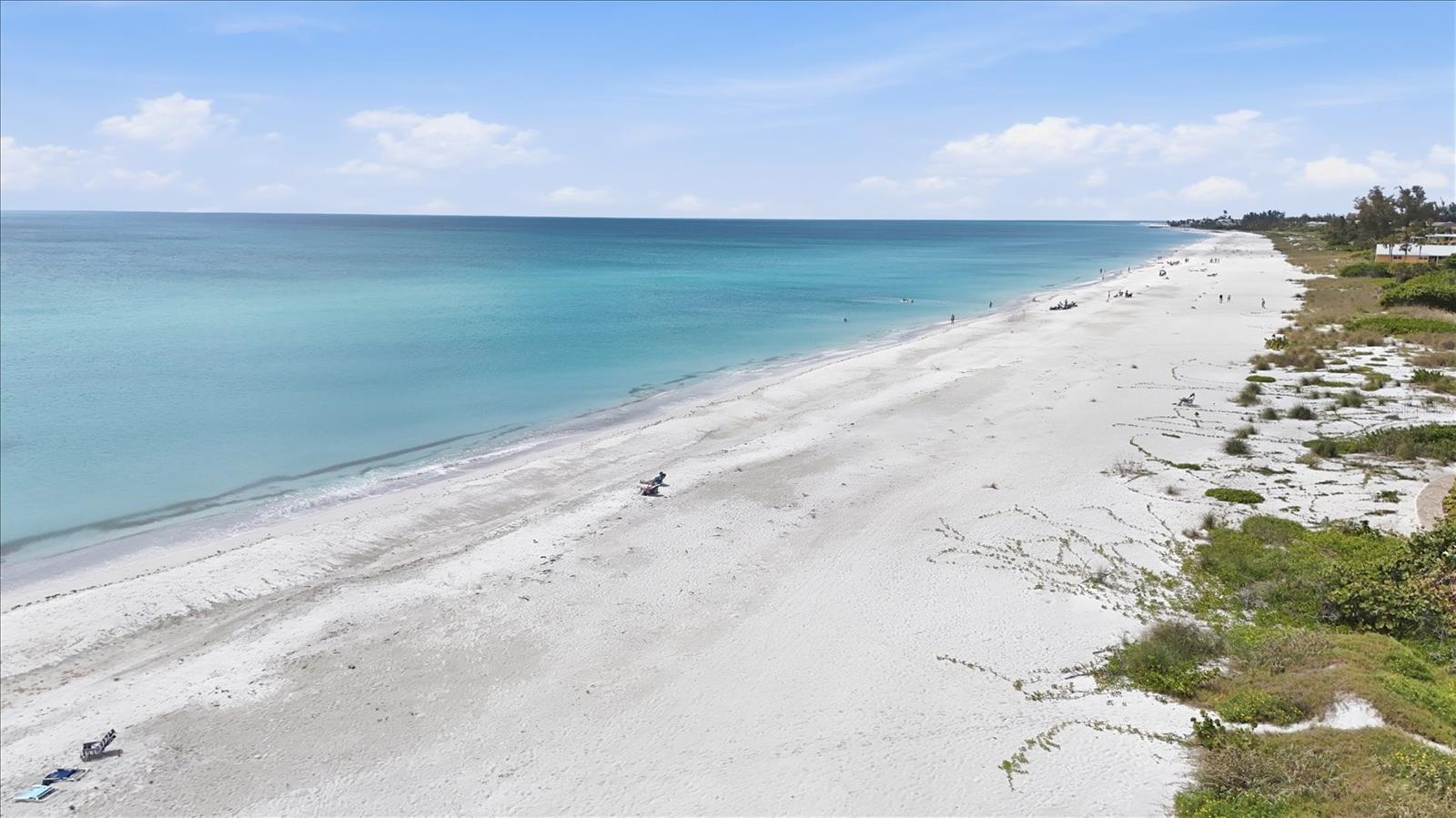 CEDARS WEST OF LONGBOAT INC - Residential