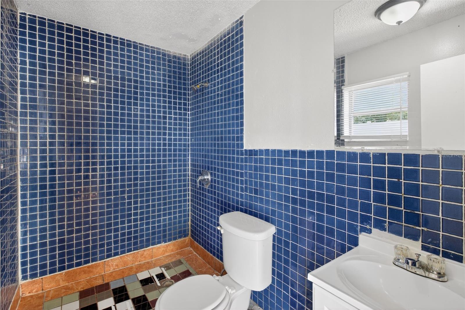 WEST APOPKA HILLS - Residential