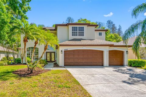 18801 CHAVILLE ROAD LUTZ FL 33558