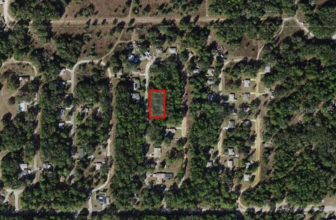 8646 N DISCALFANI LOOP CRYSTAL RIVER FL 34428