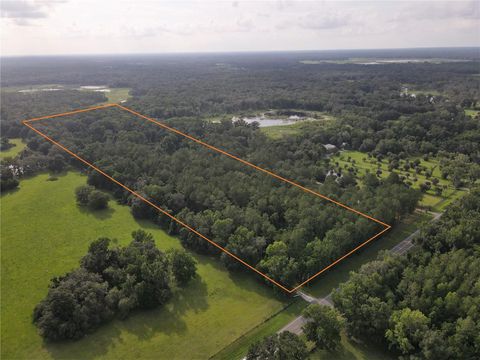 15208 SW WILLISTON RD MICANOPY FL 32667