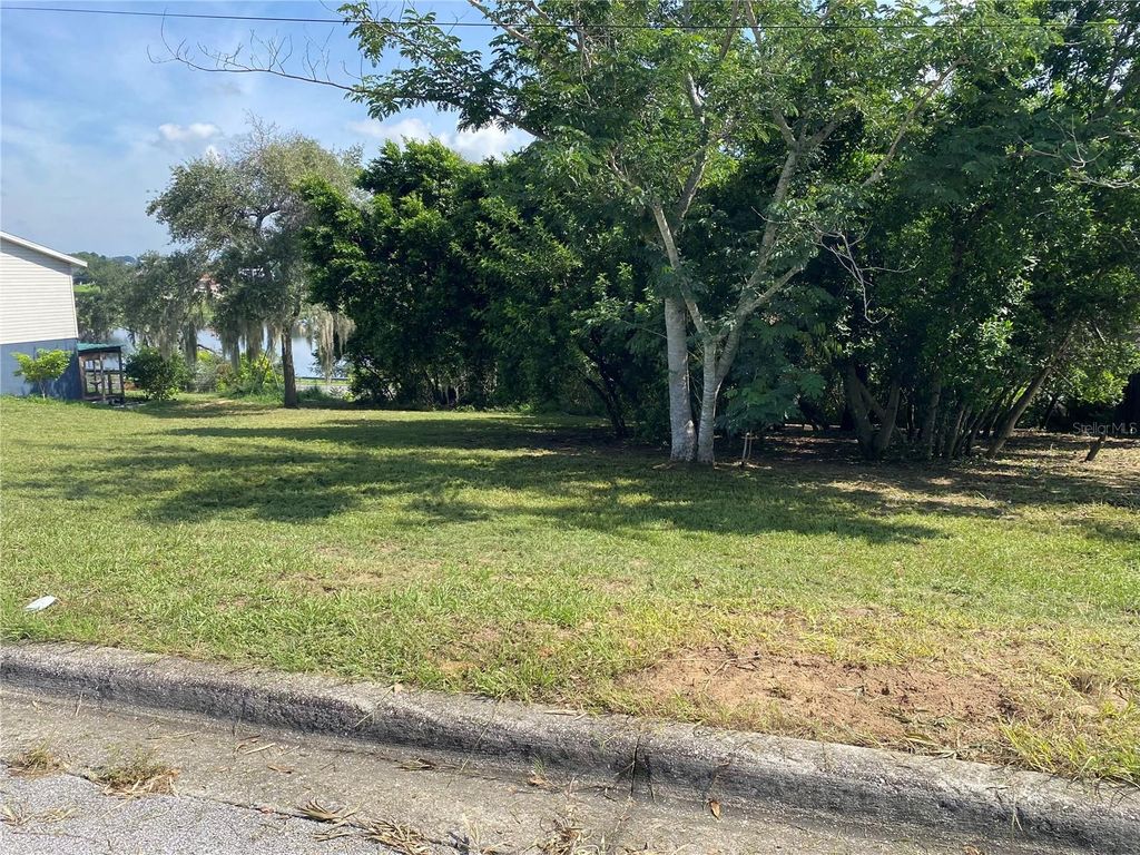 Photo of 807 Lakeview Avenue, Dundee, FL 33838 (MLS # O6353215)